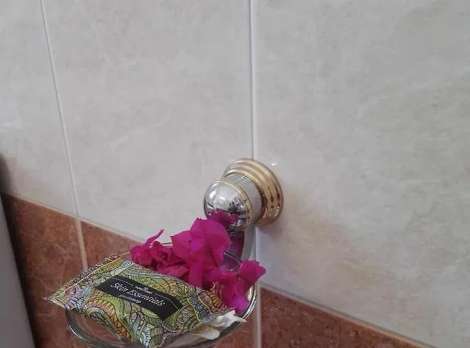 Bouganville Stegna Oda ve Kahvaltı